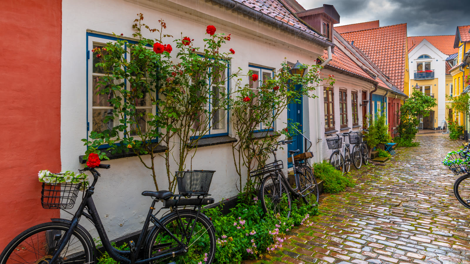 Denmark - Aalborg 1 — gade og huse i Aalborg