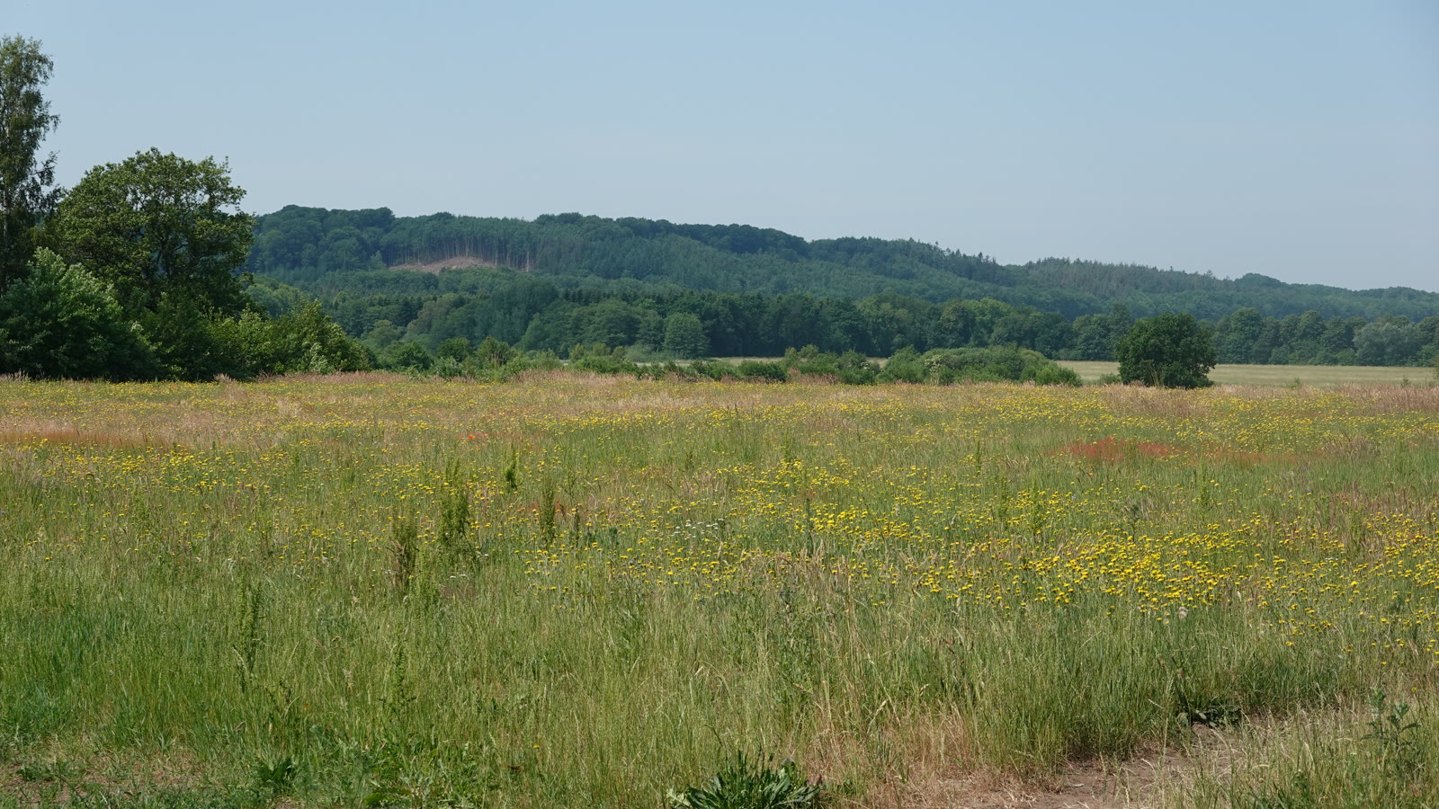 Landschaft Auning — gade og huse i Djursland