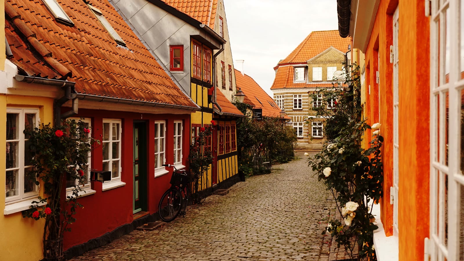 Bøjestræde - A street in Faaborg (50471289316) — gade og huse i Fyn